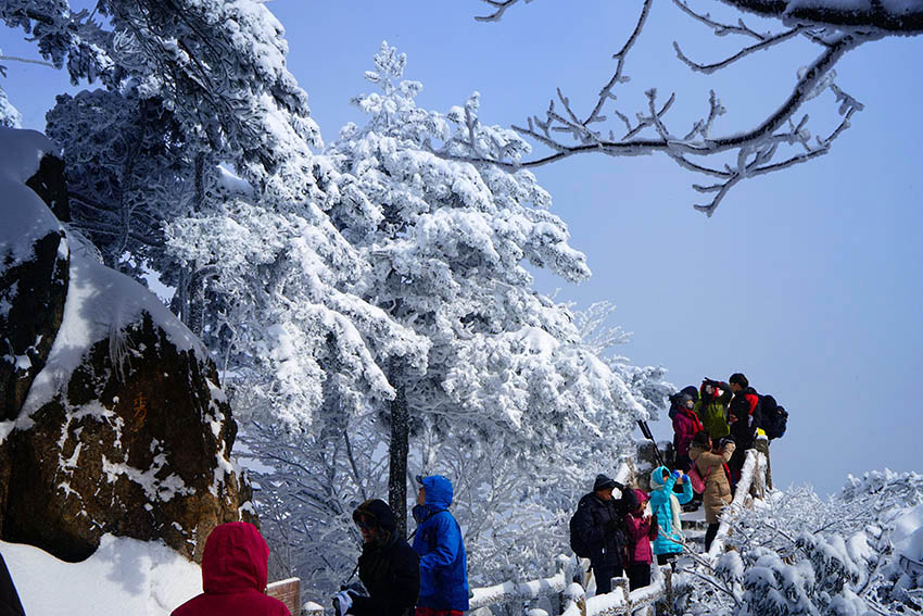 黄山雪11 摄影 拂锺无声