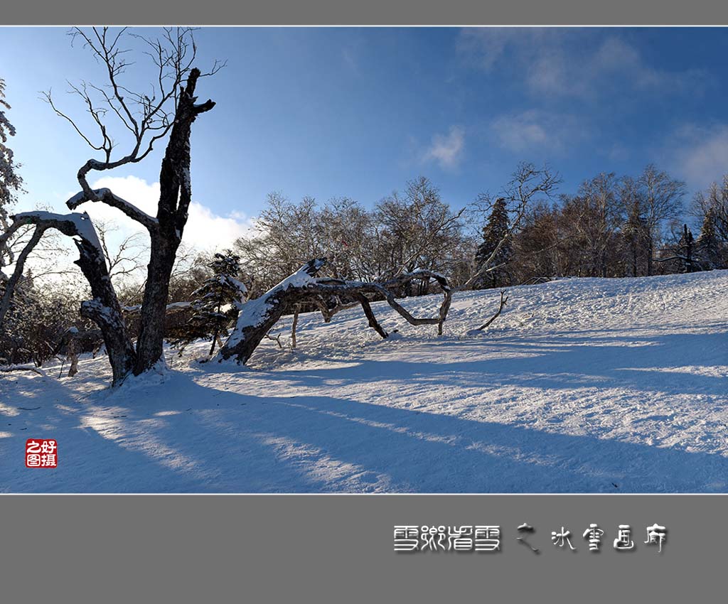 《雪乡看雪》 摄影 一路有你