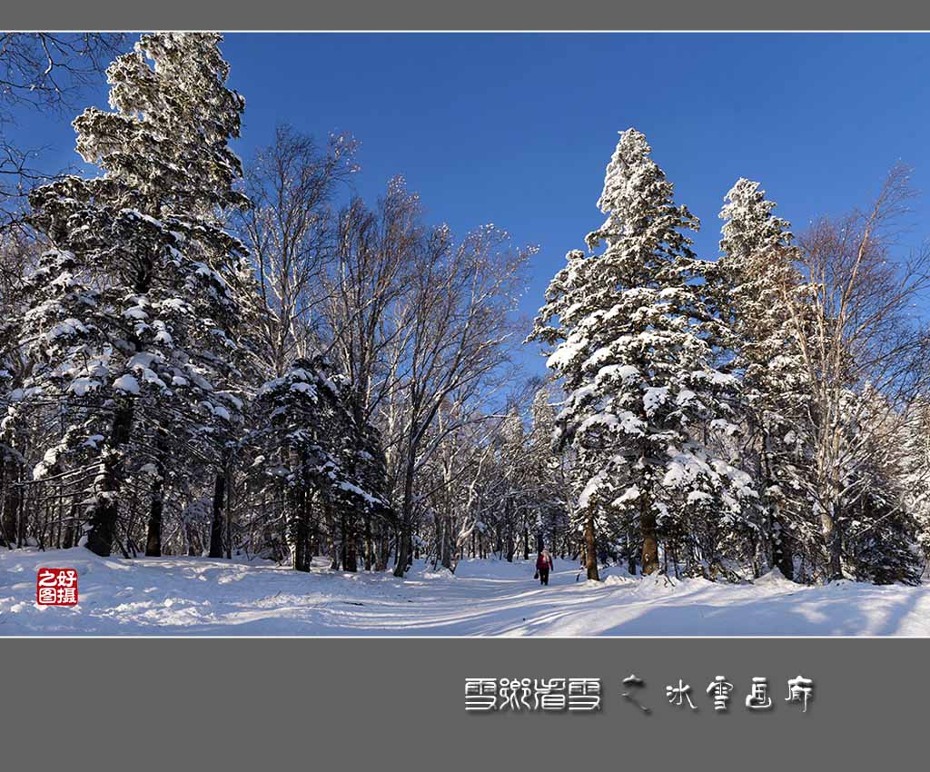 《雪乡看雪》之冰雪画廊 摄影 一路有你