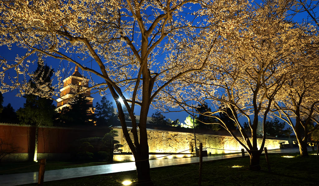 春花月夜慈恩寺 摄影 Jansion