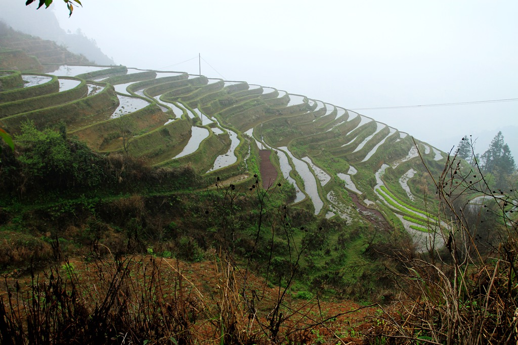 秀青山 摄影 寒心