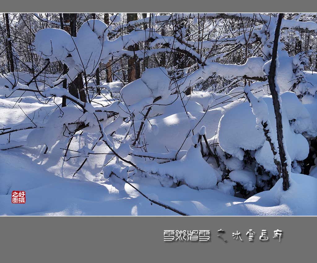 《雪乡看雪》之冰雪画廊 摄影 一路有你