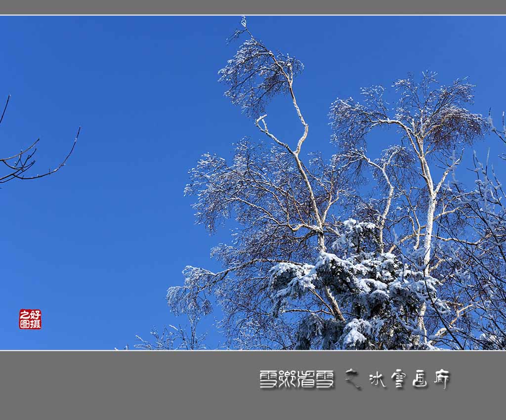 《雪乡看雪》之冰雪画廊 摄影 一路有你