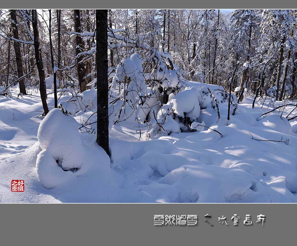 《雪乡看雪》之冰雪画廊 摄影 一路有你