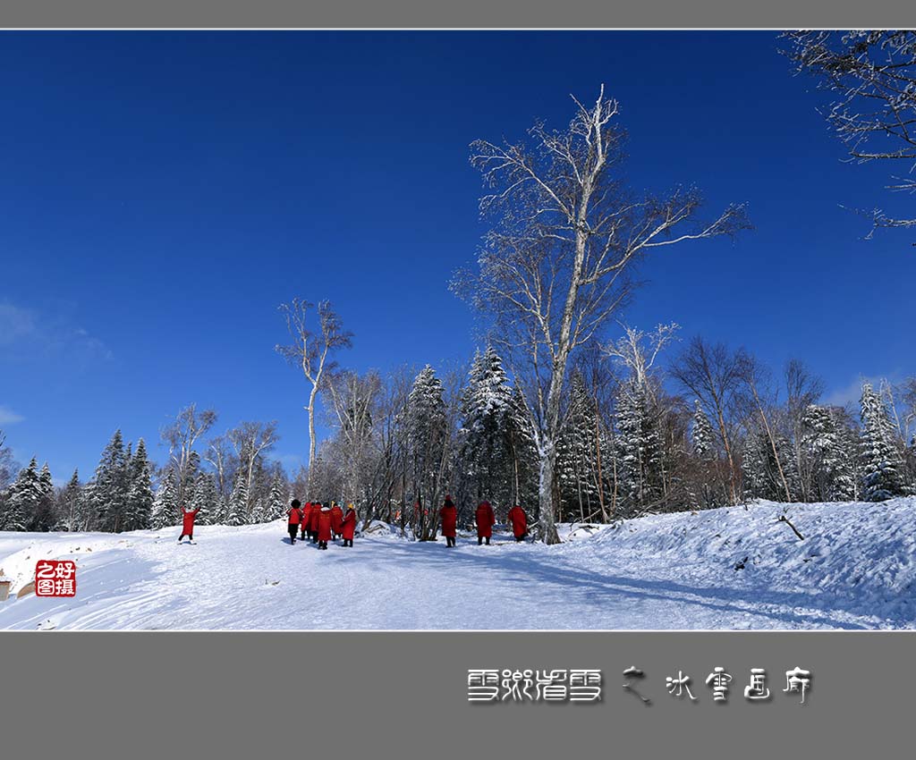 《雪乡看雪》之冰雪画廊 摄影 一路有你