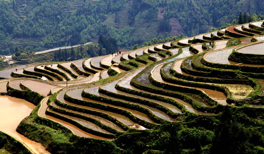 加榜梯田 摄影 嘿.寒地黑土