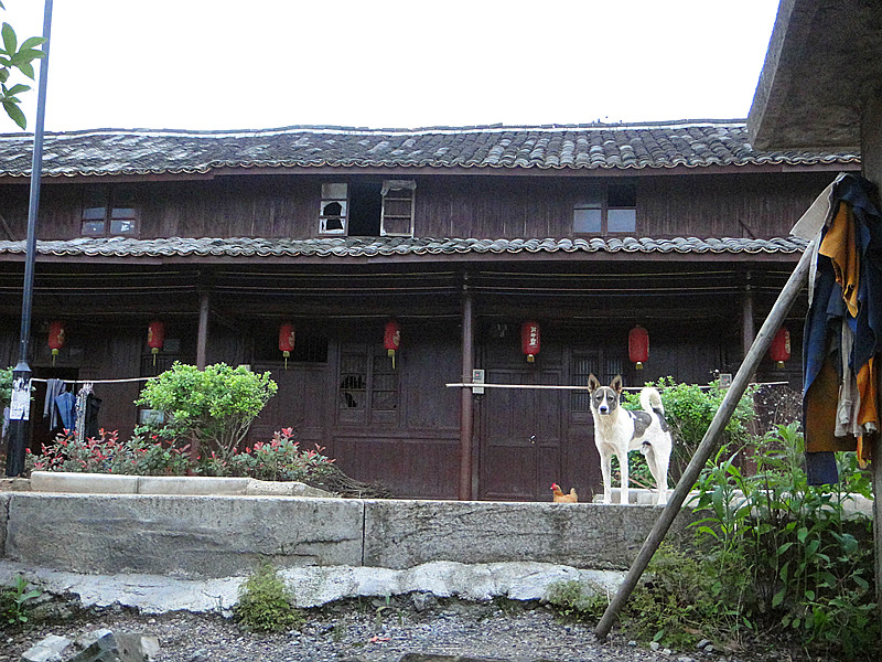 山村的早晨 摄影 夜雨听蕉