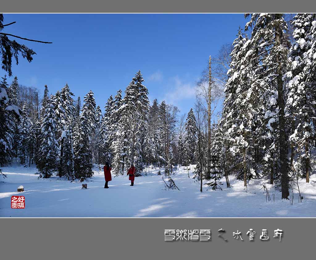 《雪乡看雪》之冰雪画廊 摄影 一路有你