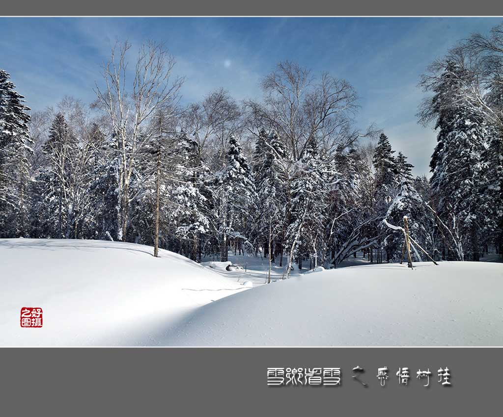 《雪乡看雪》之感悟树挂 摄影 一路有你