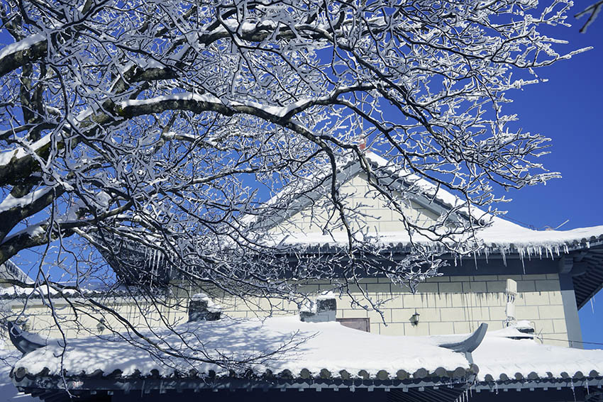 黄山雪15 摄影 拂锺无声