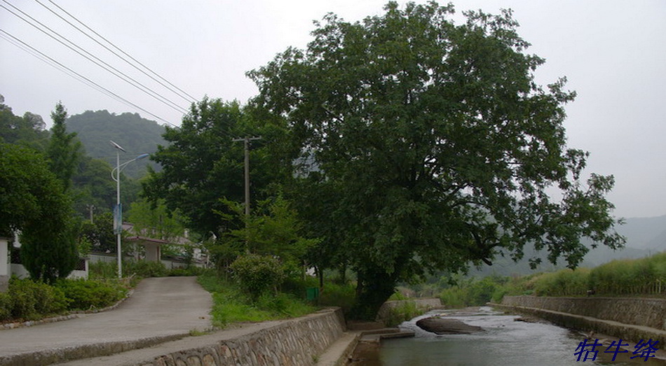 天门镇郎坑村 摄影 牯牛绛