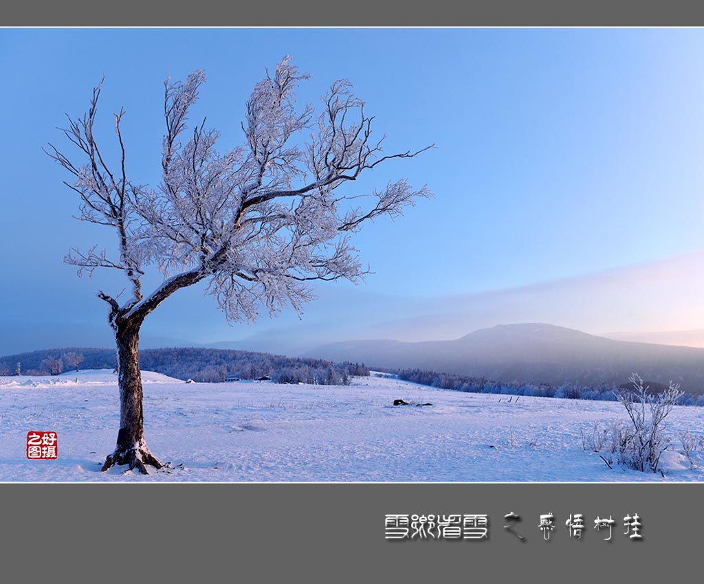 《雪乡看雪》之感悟树挂 摄影 一路有你