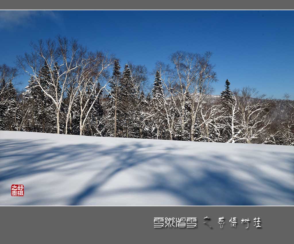 《雪乡看雪》之感悟树挂 摄影 一路有你