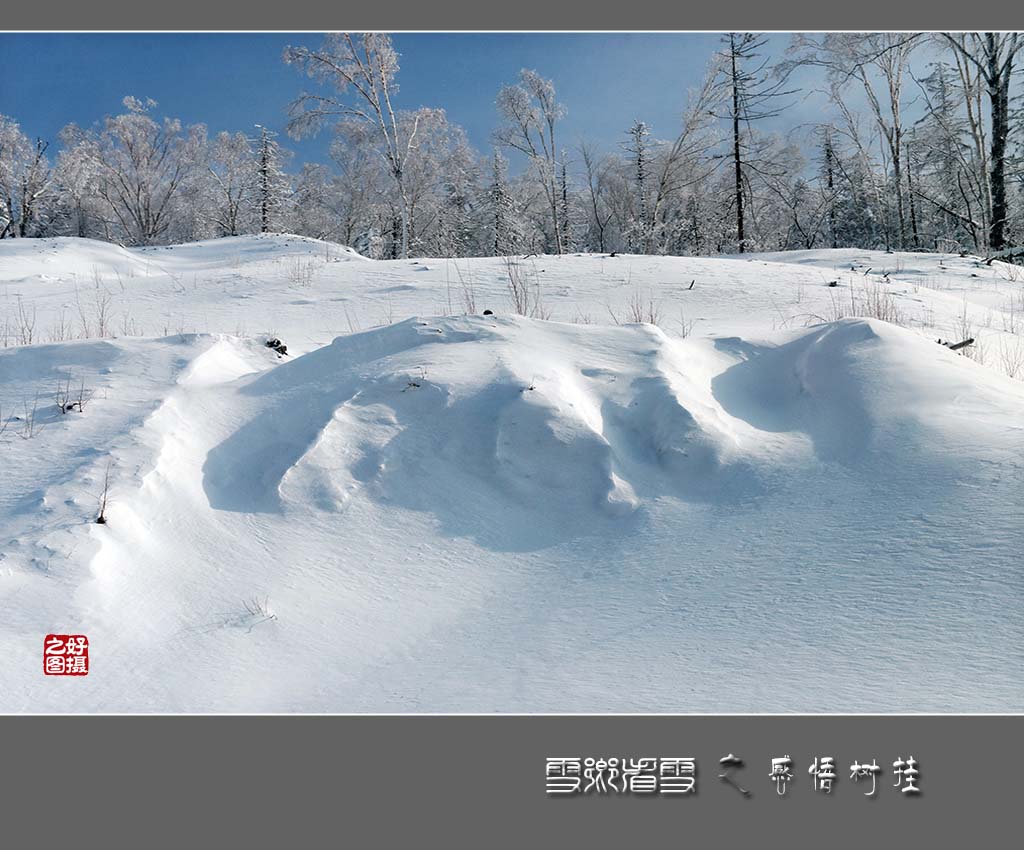 《雪乡看雪》之感悟树挂 摄影 一路有你