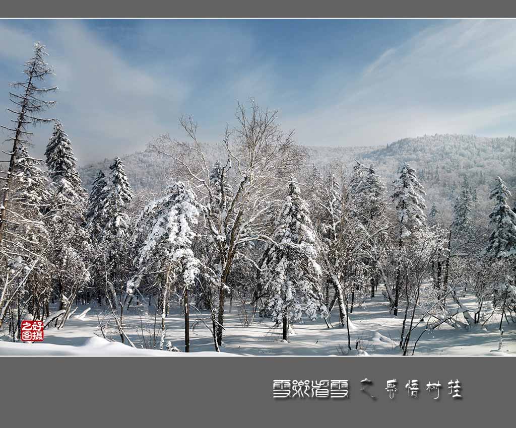 《雪乡看雪》之感悟树挂 摄影 一路有你