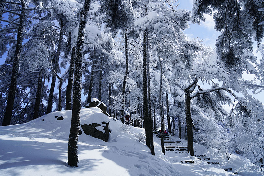 黄山雪17 摄影 拂锺无声