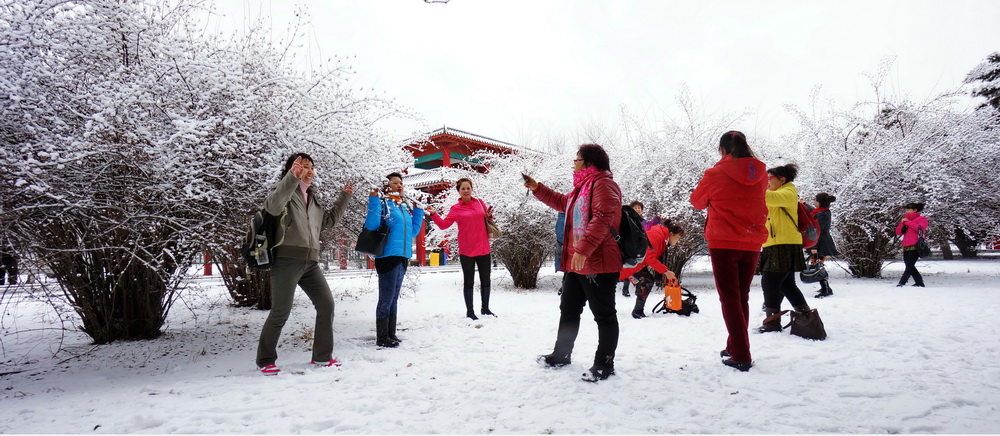 雪中情 摄影 学君