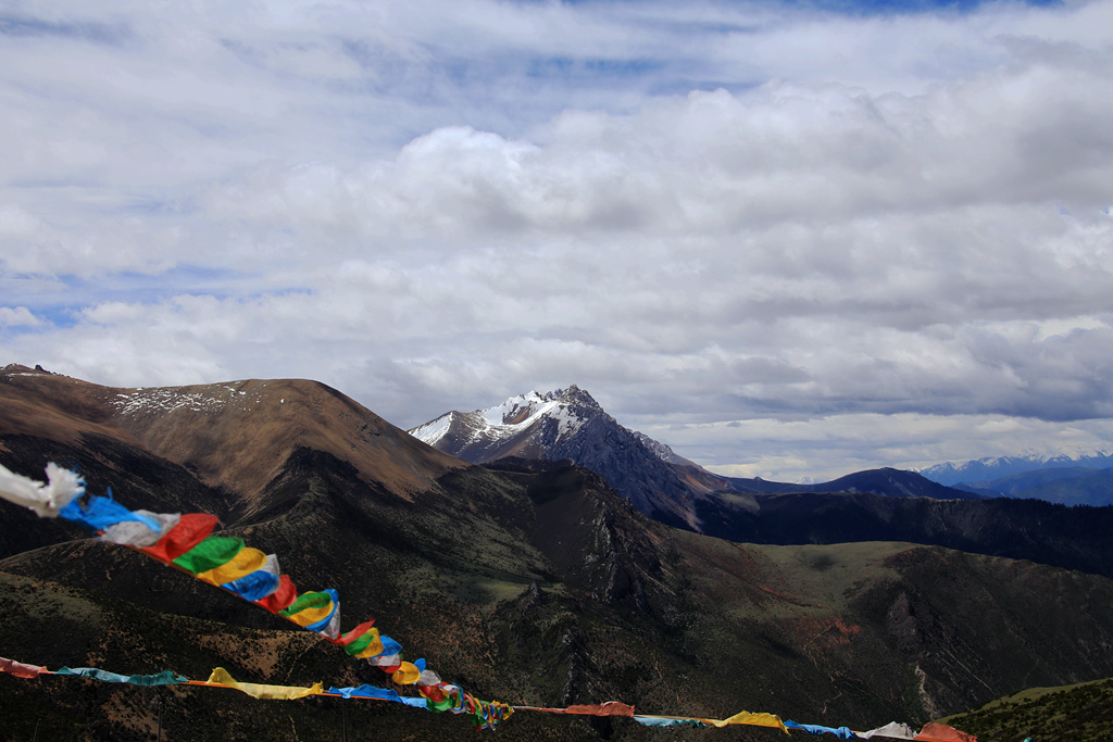 远山 摄影 凉面