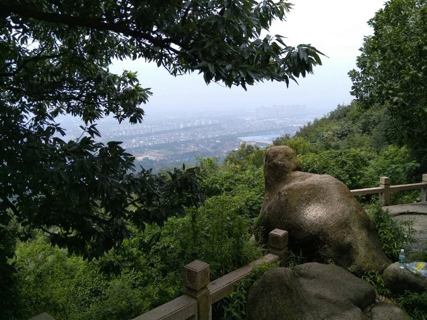 苏州灵岩山随拍 摄影 夜雨听蕉