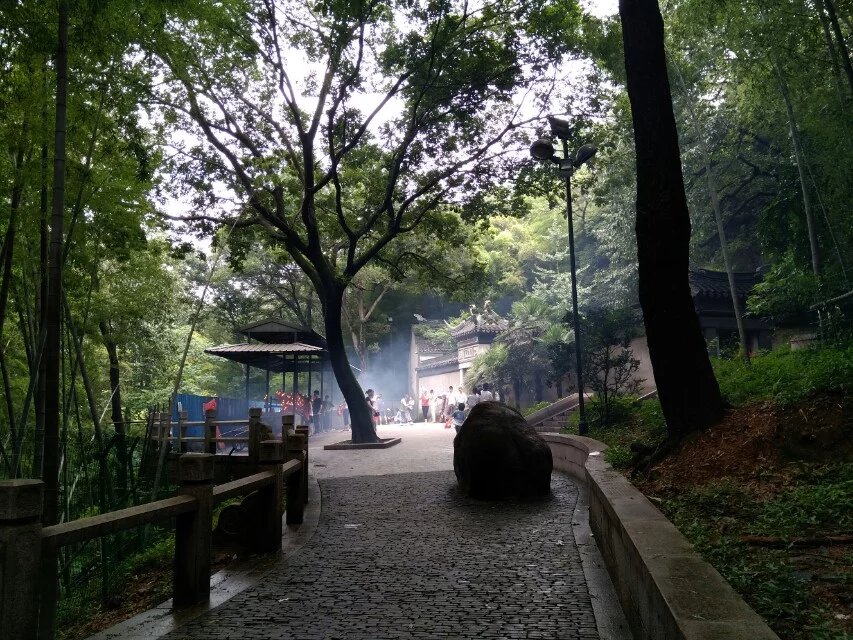 苏州灵岩山随拍 摄影 夜雨听蕉