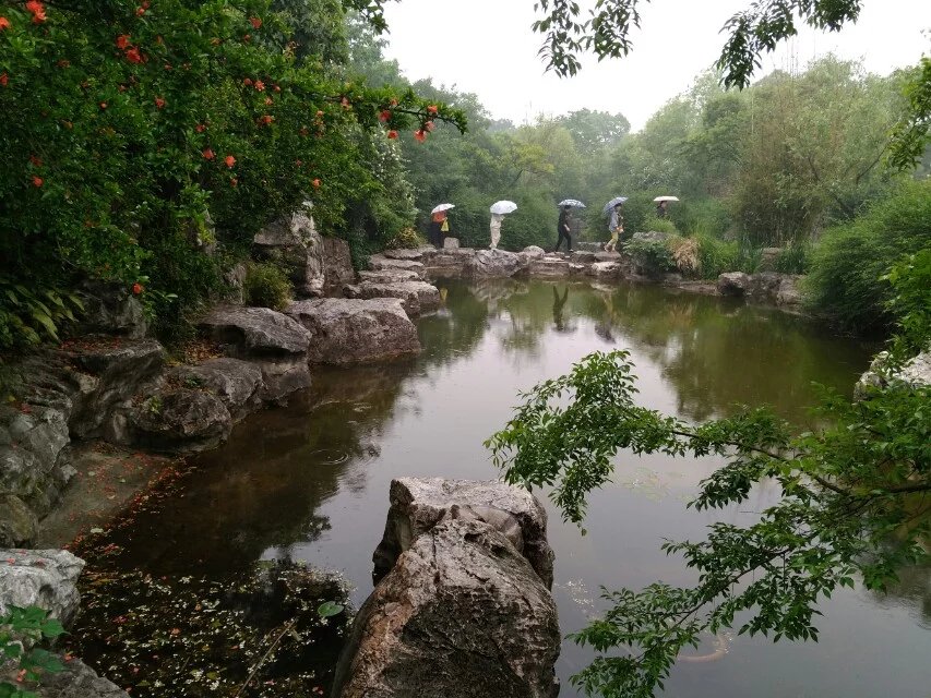 淫雨霏霏 摄影 夜雨听蕉