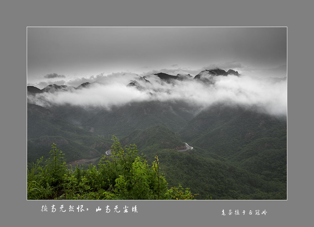 山高无尘埃 摄影 老茶