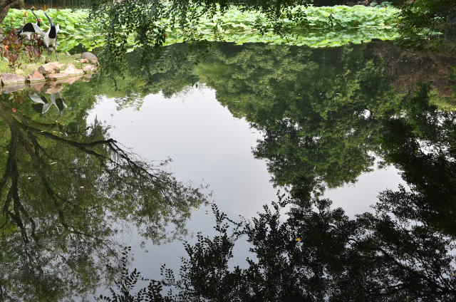 水中景 摄影 云海sh