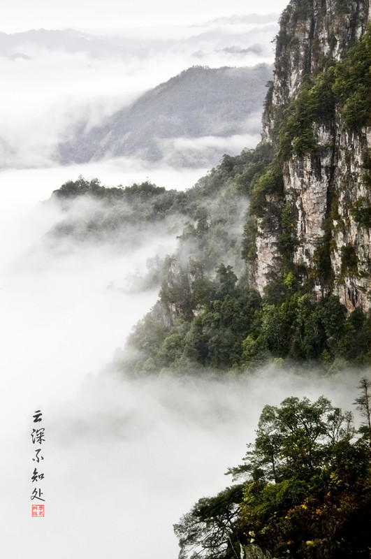 云深不知处 摄影 摄眼看花