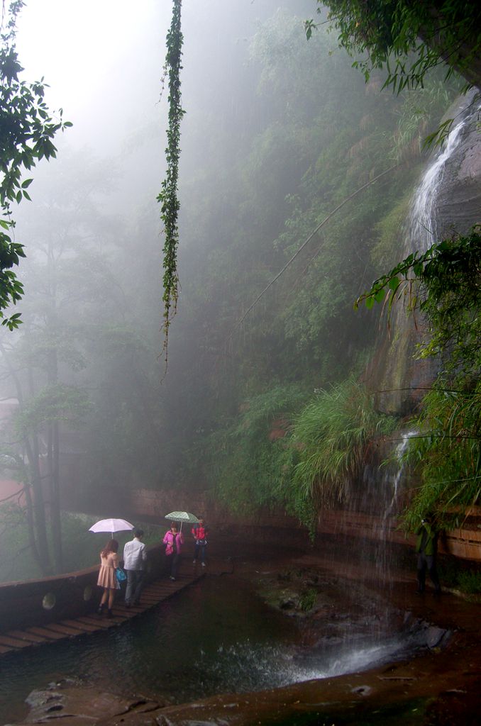 雾雨小景 摄影 青松流水