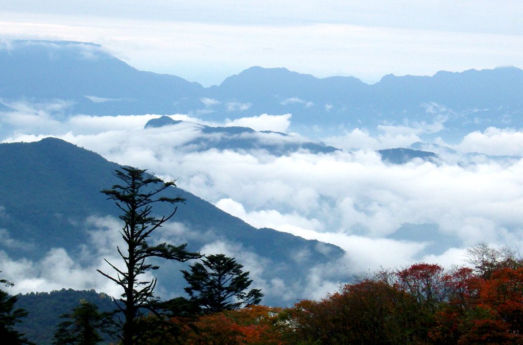 秋到山巅 摄影 青松流水