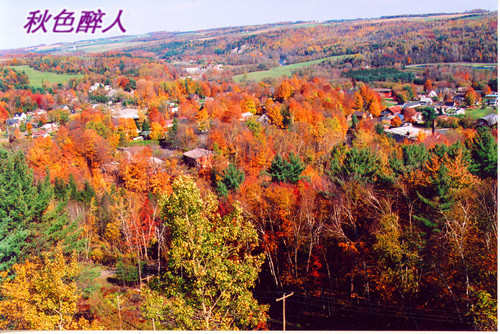 秋天景色__金色原野 摄影 淙水秀才