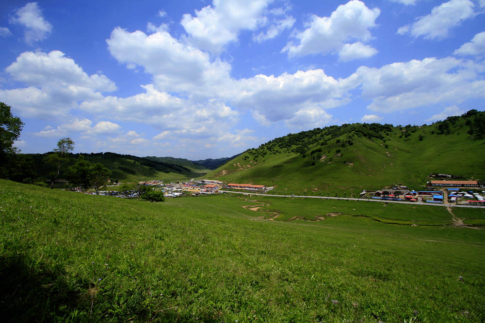 关山牧场纪实片 摄影 金秋乐淘淘