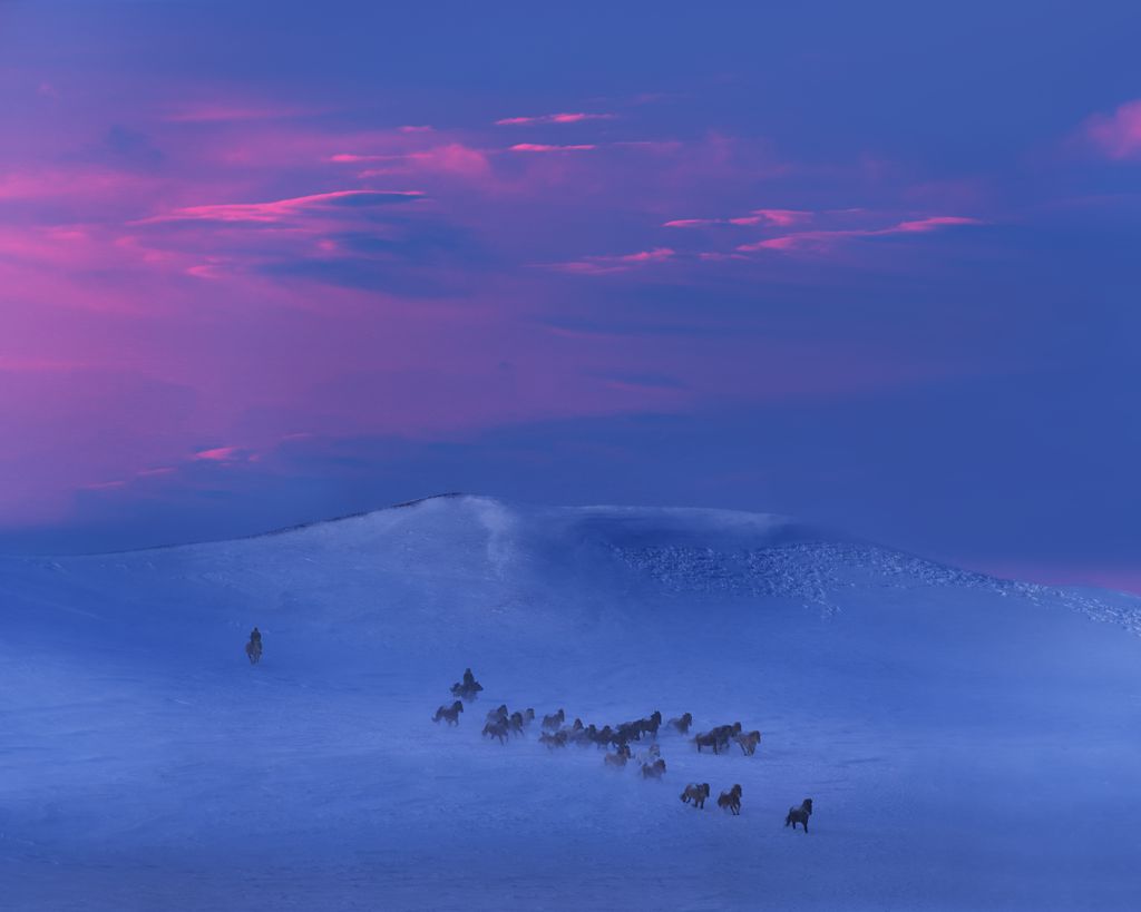 雪色黄昏 摄影 西湖钓神