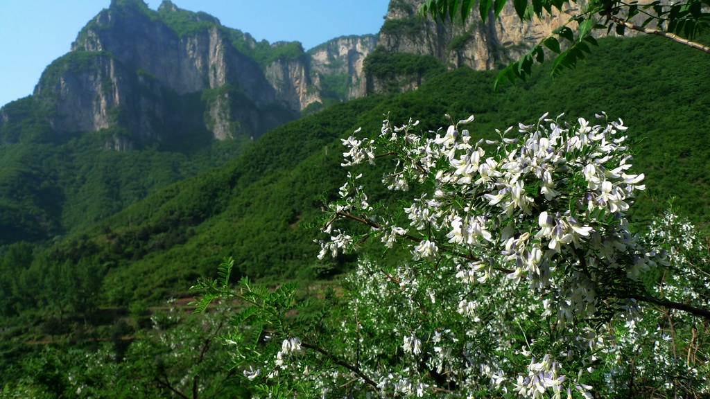 王莽岭风光 摄影 青龙居士