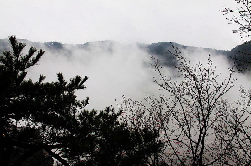 庐山18 摄影 七星石