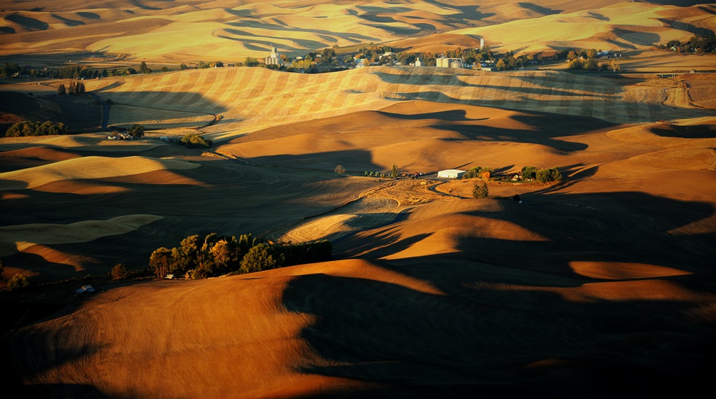 Palouse Valley 摄影 QY_CANON