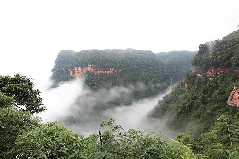 蜀海竹林：雾绕山秀 摄影 风光无限处