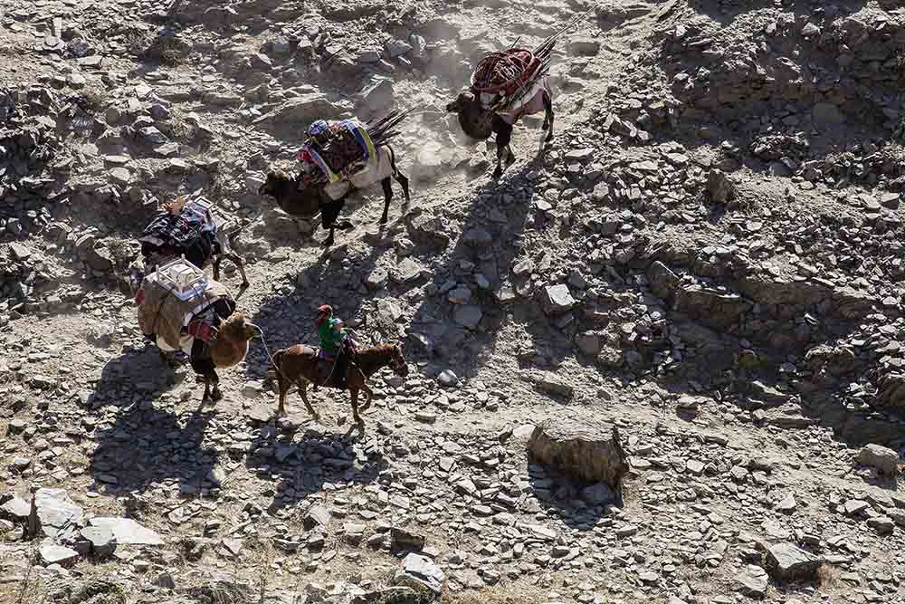 崎峻山路上走来转场人家 摄影 ntct