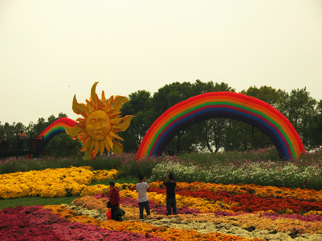 菊花展览会一景 摄影 样样新