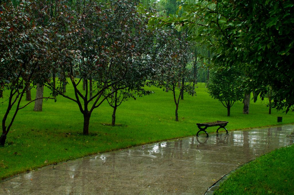 秋雨 摄影 老拙