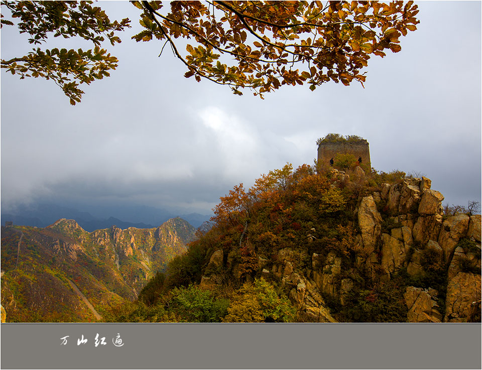 万山红遍 摄影 老茶