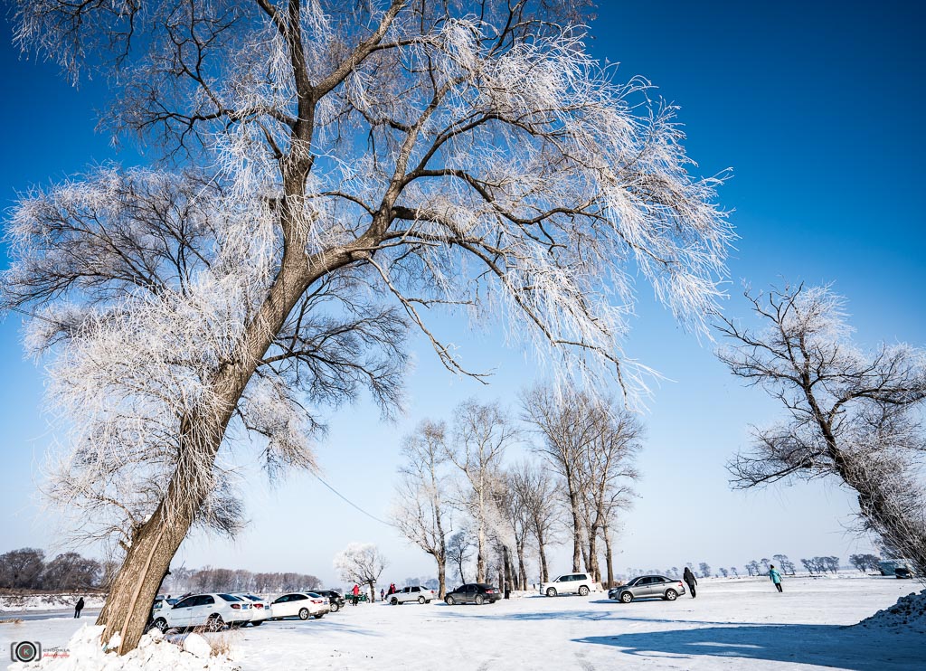 Rime island II Jilin,China 雾淞島 摄影 chookia