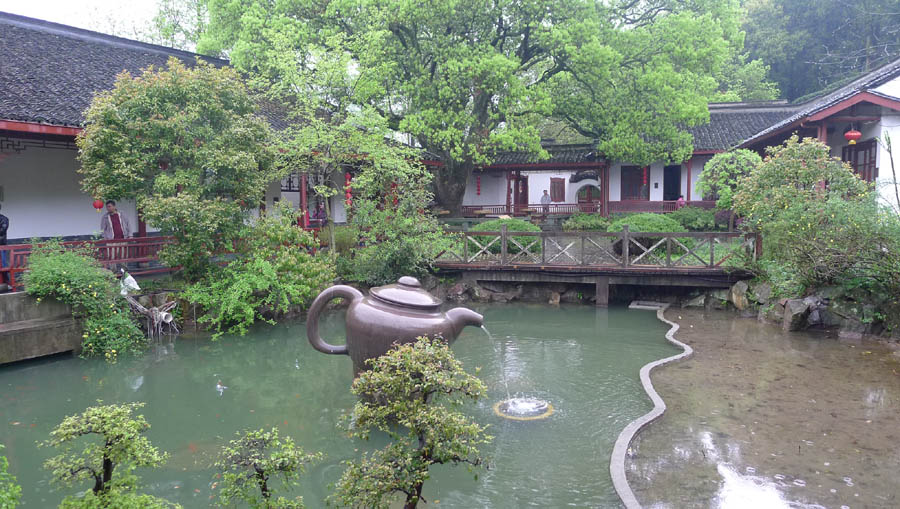 梅家坞龙井基地 摄影 飘逸越洋