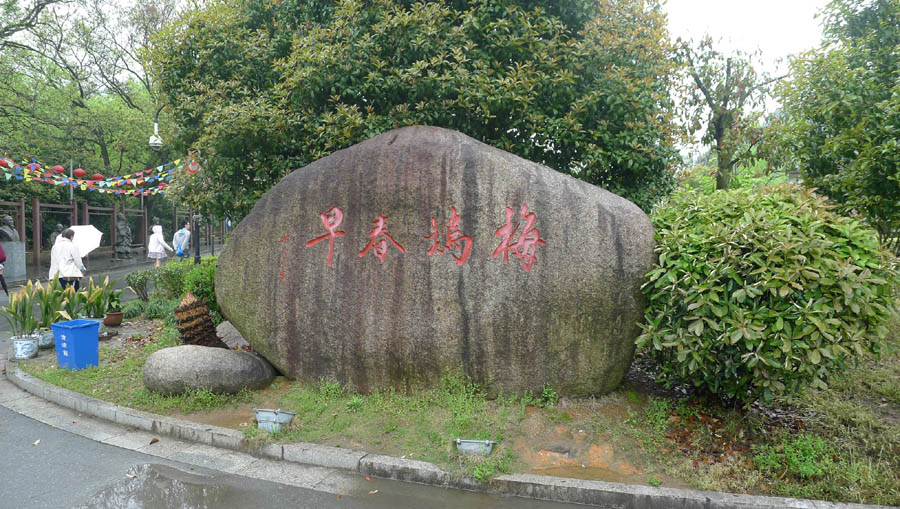 梅家坞龙井基地 摄影 飘逸越洋