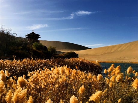 鸣沙山 摄影 JIANGYUE