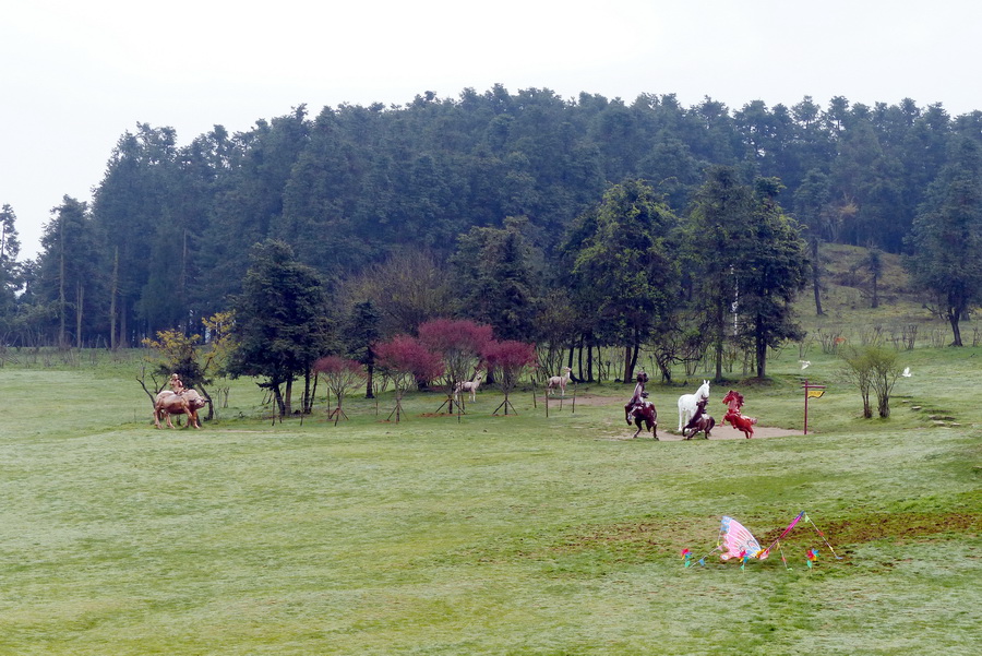 仙女山草地 摄影 tielong