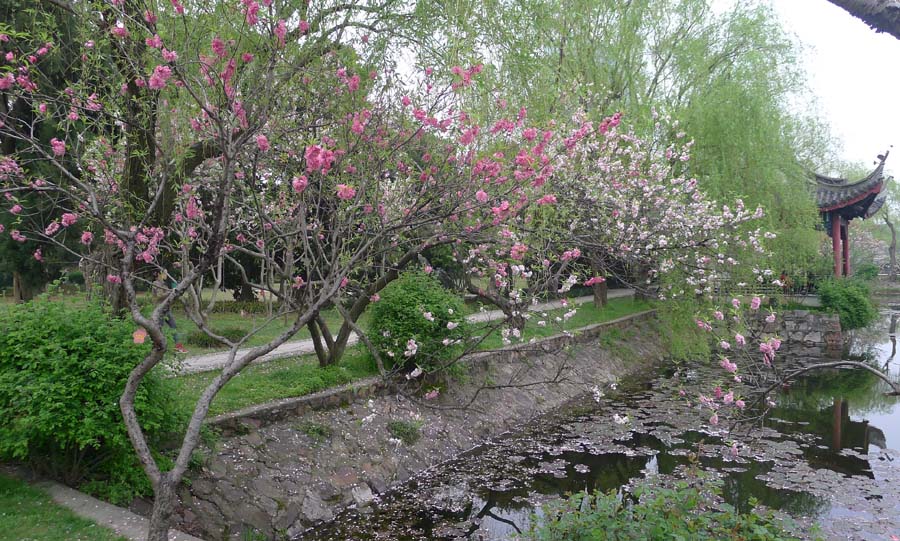 江南园林风景9 摄影 飘逸越洋