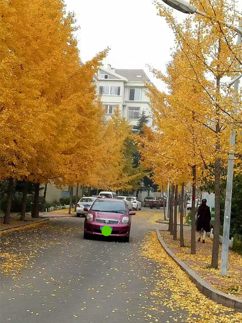 美景 摄影 心灵的彼岸