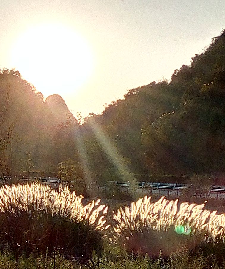 夕照百花坛 摄影 buyuanfa