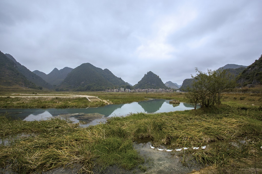 家乡小景 摄影 maergao